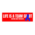 Life Is A Team Sport